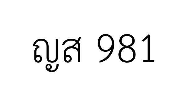 ญส 981